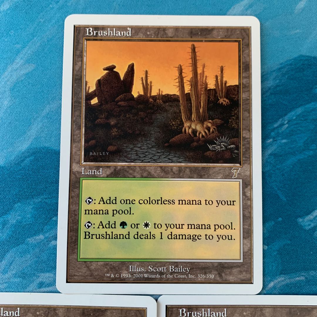 MTG 3 Brushland