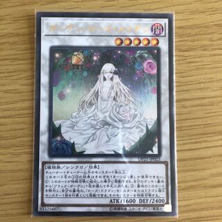 ガーデンローズメイデン