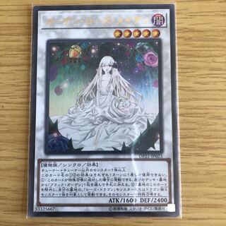 ガーデンローズメイデン