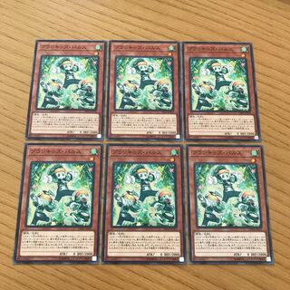 プランキッズ・パルス ノーマル　６枚セット