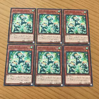 プランキッズ・パルス ノーマル　６枚セット　