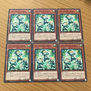 プランキッズ・パルス ノーマル　６枚セット