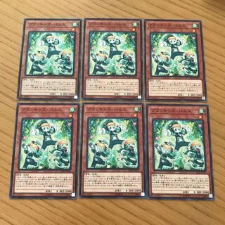 プランキッズ・パルス ノーマル　６枚セット