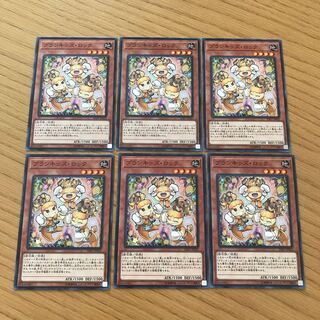 プランキッズ・ロック ノーマル　６枚セット