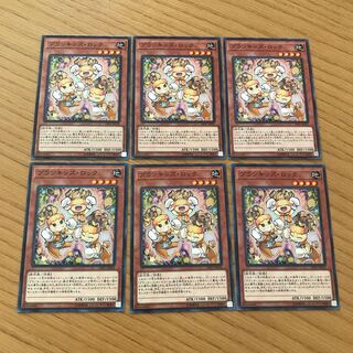 プランキッズ・ロック ノーマル　６枚セット