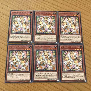 プランキッズ・ロック ノーマル　６枚セット