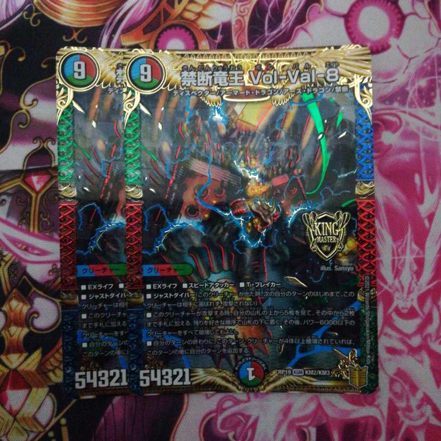 禁断竜王 Vol-Val-8 2枚