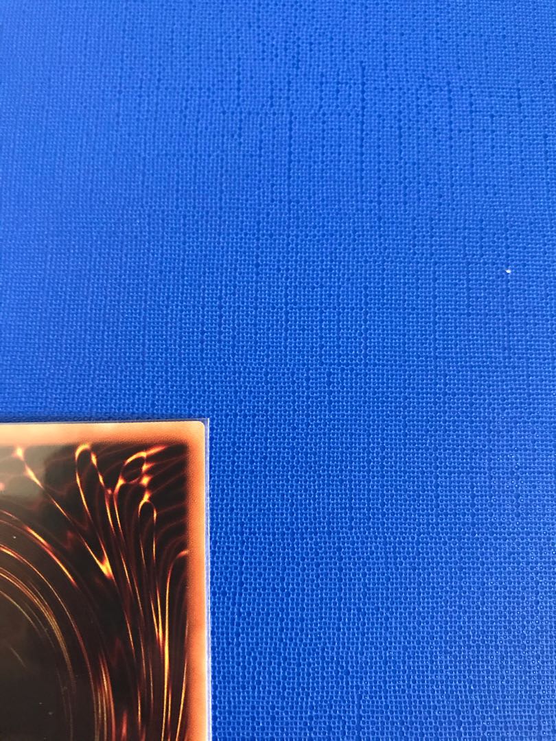 Borreload Savage Dragon holographic rare