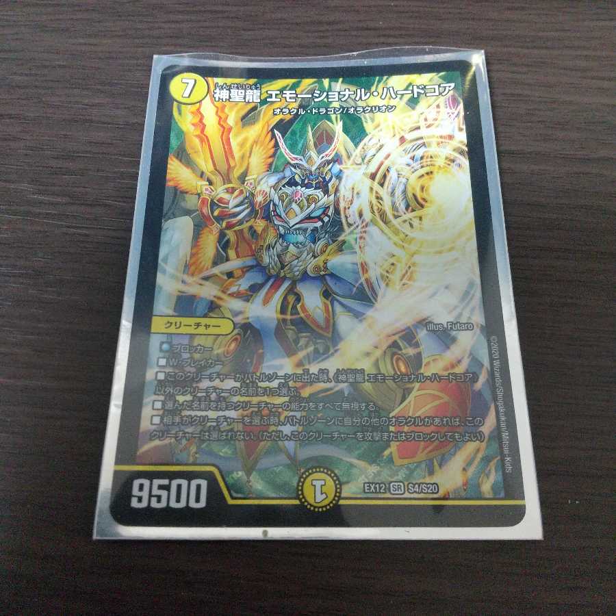 神聖龍 エモーショナル・ハードコア