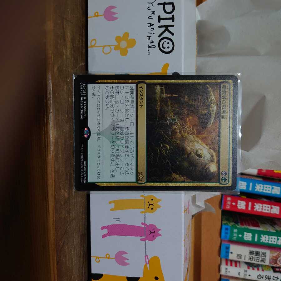 暗殺者の戦利品(日)