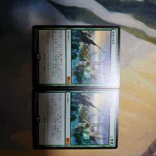 風景の変容(日)2枚セット