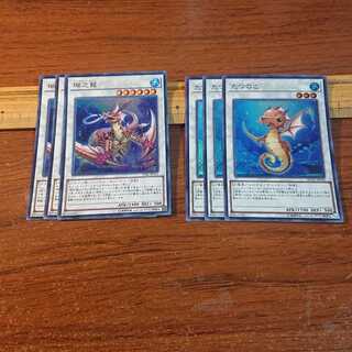 瑚之龍 ウルトラレア たつのこ スーパー 各3枚