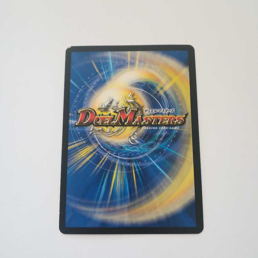 天ニ煌メク龍終ノ裁キ