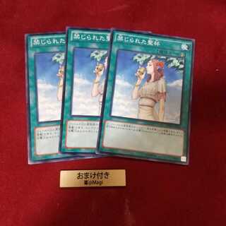 禁じられた聖杯 ノーマル