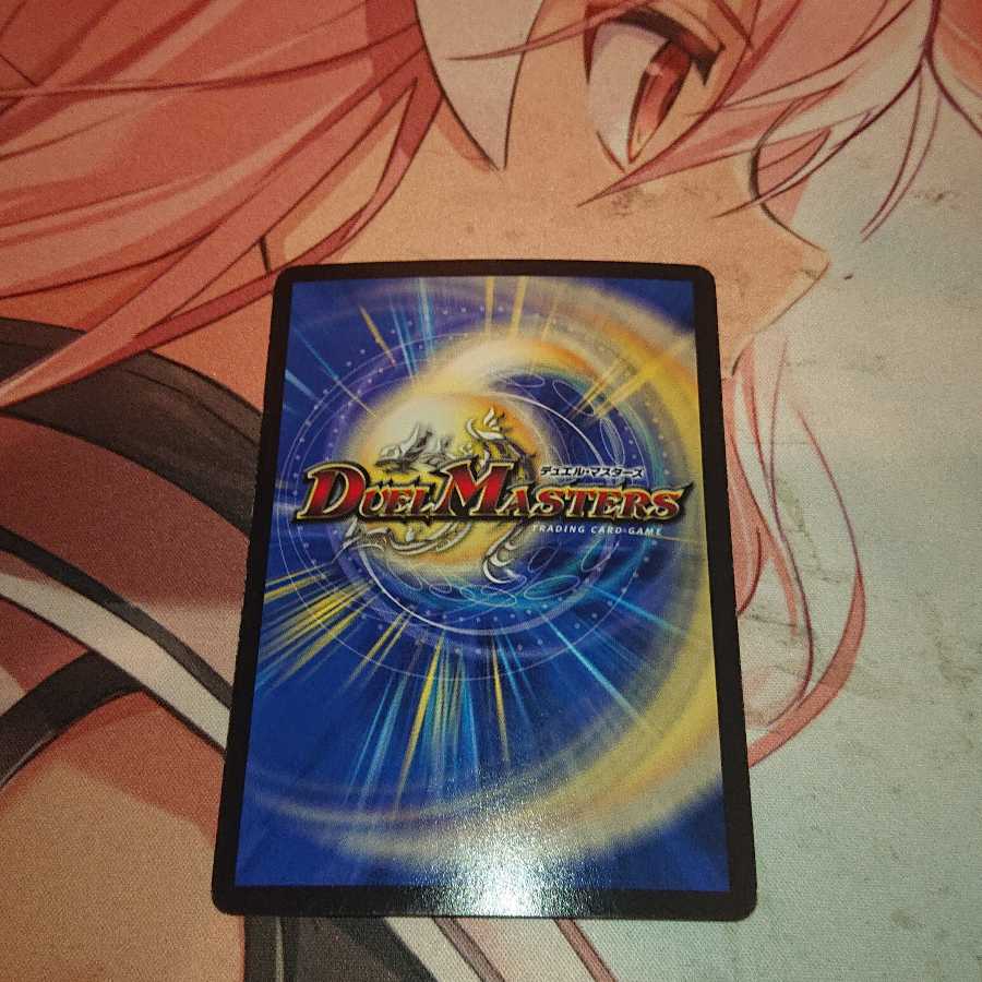 「特価品」 「智」の頂 レディオ・ローゼス