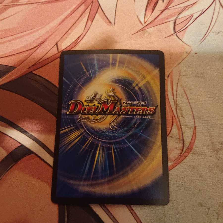 「特価品」 「智」の頂 レディオ・ローゼス