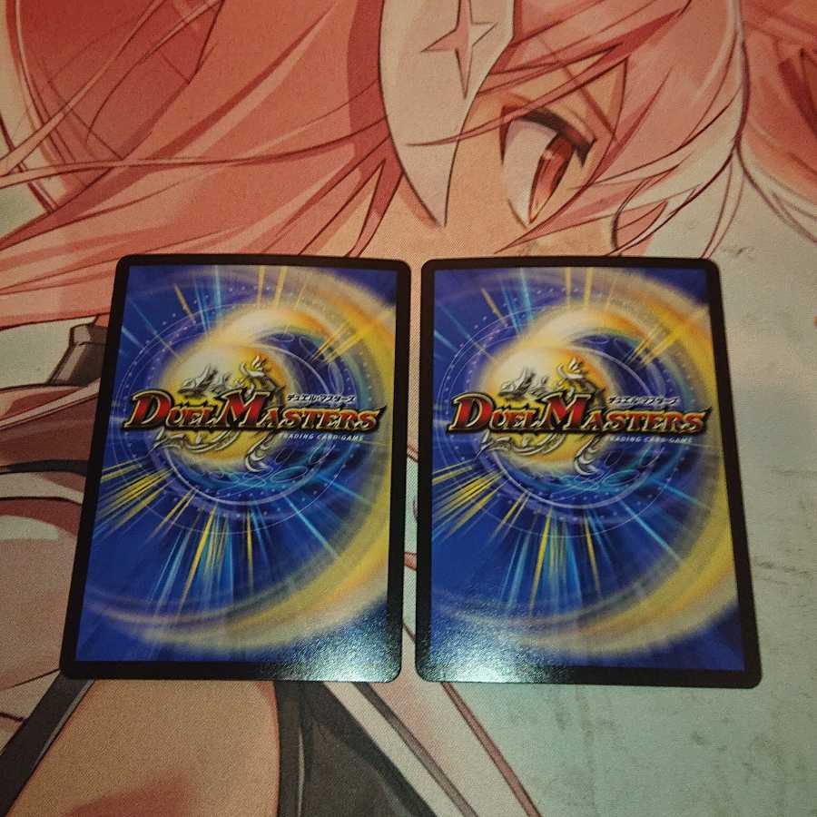 「追跡発送」 「智」の頂 レディオ・ローゼス