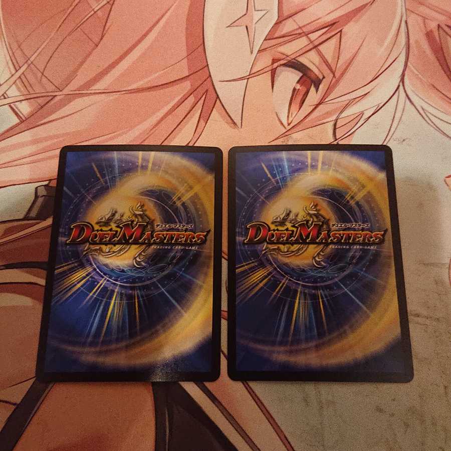 「追跡発送」 「智」の頂 レディオ・ローゼス