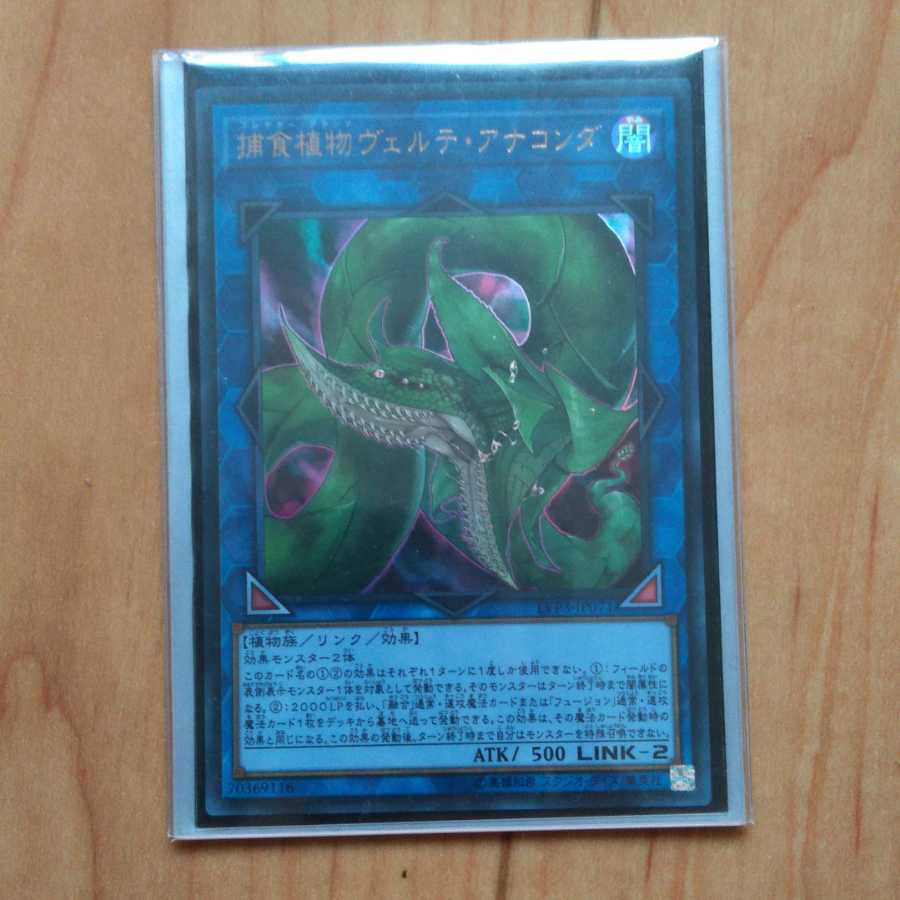 捕食植物ヴェルテ･アナコンダ