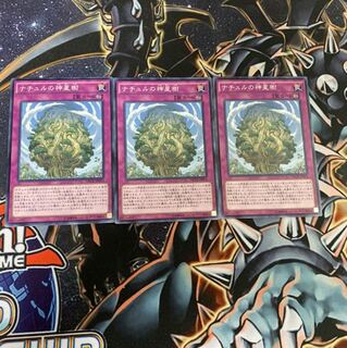 ナチュルの神星樹