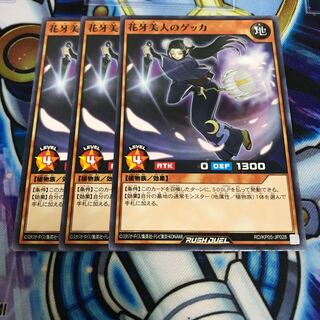 花牙美人のゲッカ　ノーマル　Hulu 1827