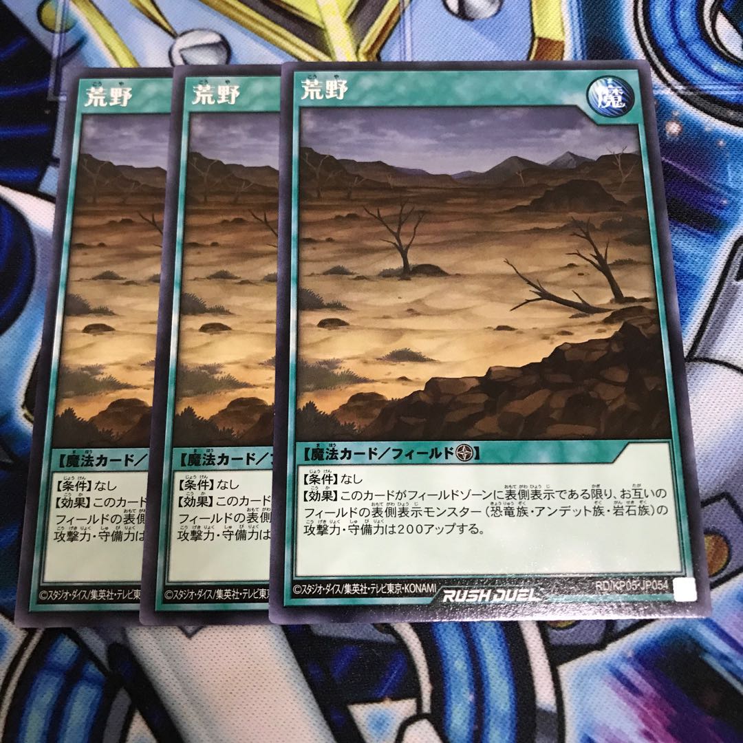 荒野 レア Hulu 1836