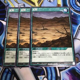 荒野　レア　Hulu 1836