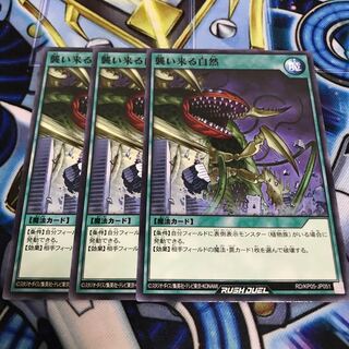 襲い来る自然　ノーマル　Hulu 1857