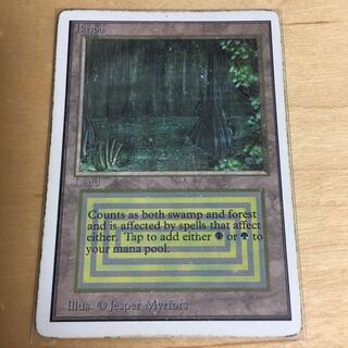 Bayou 2ED 状態POOR