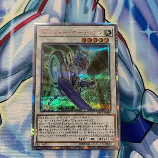 TG  スター・ガーディアン　20th