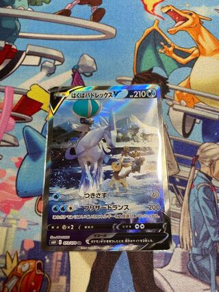 ユキ様専用 はくばバドレックスV SR SA