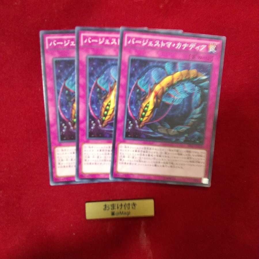 バージェストマ・カナディア ノーマル