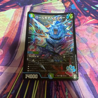 ロールモデルタイガー