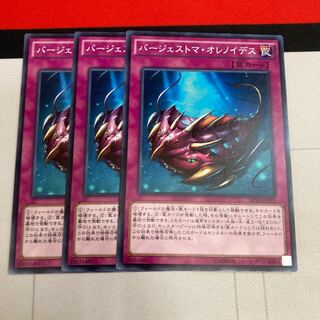 バージェストマ・オレノイデス ノーマル　3枚特価品