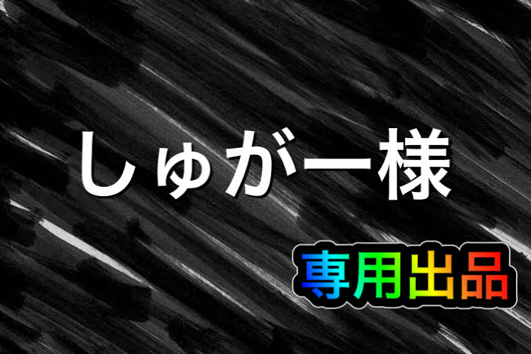 【しゅがー様】専用出品