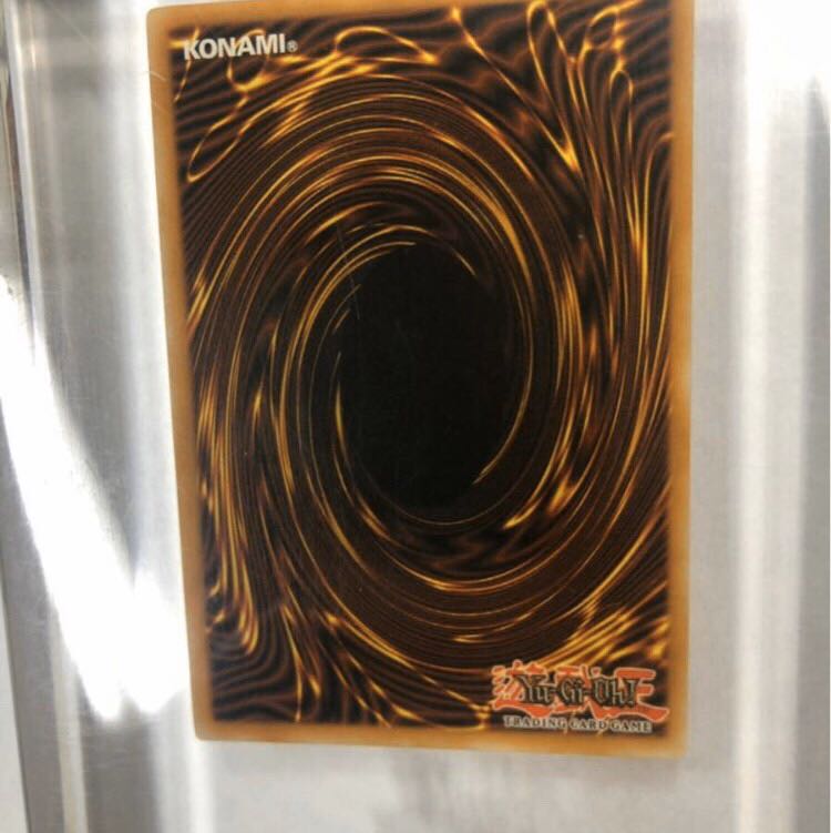 ヴォルストガルフ　summer cup2008 1枚