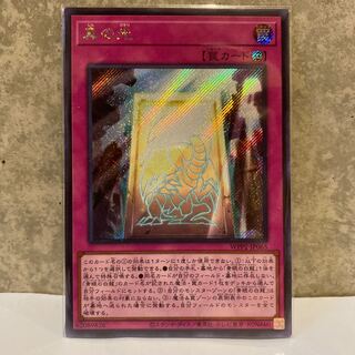 真の光 シークレットレア　遊戯王