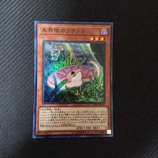 未界域のツチノコ