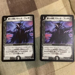 怒りの影ブラック・フェザー 2枚