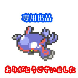 天変地異様　専用出品