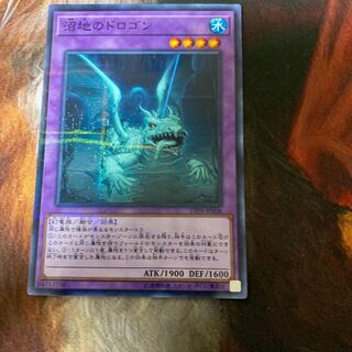 沼地のドロゴン