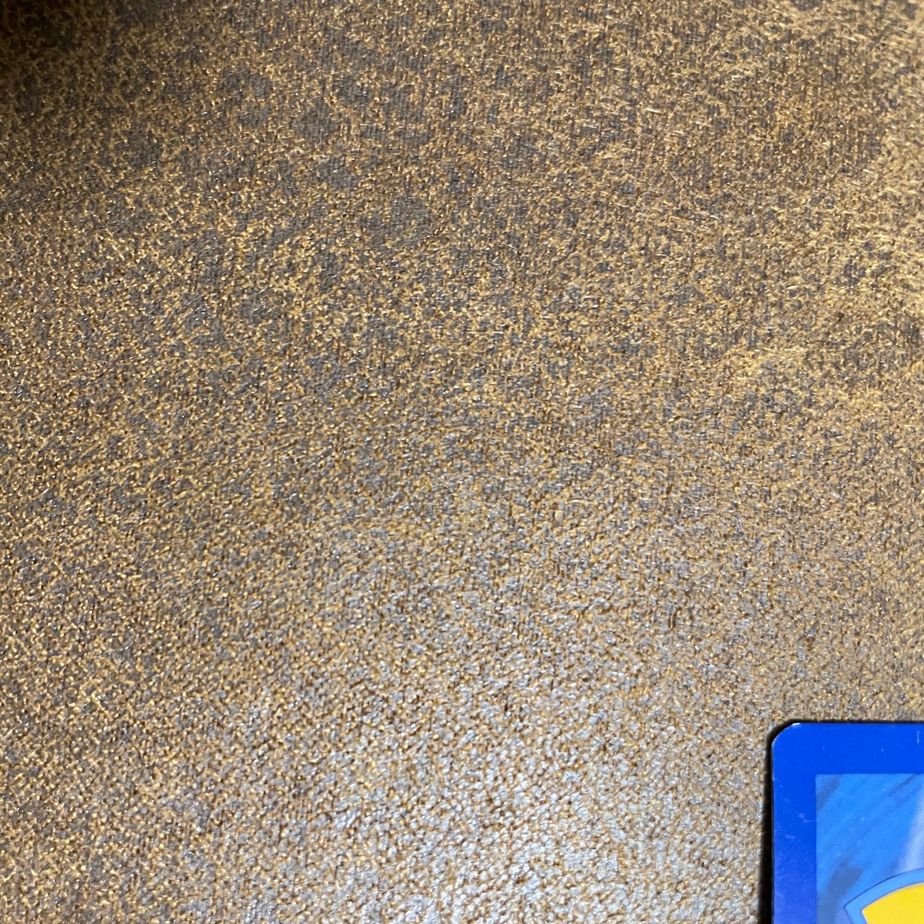 ブラッキー、エーフィgx 海外カードチャンピオンズ ・リーグ2018