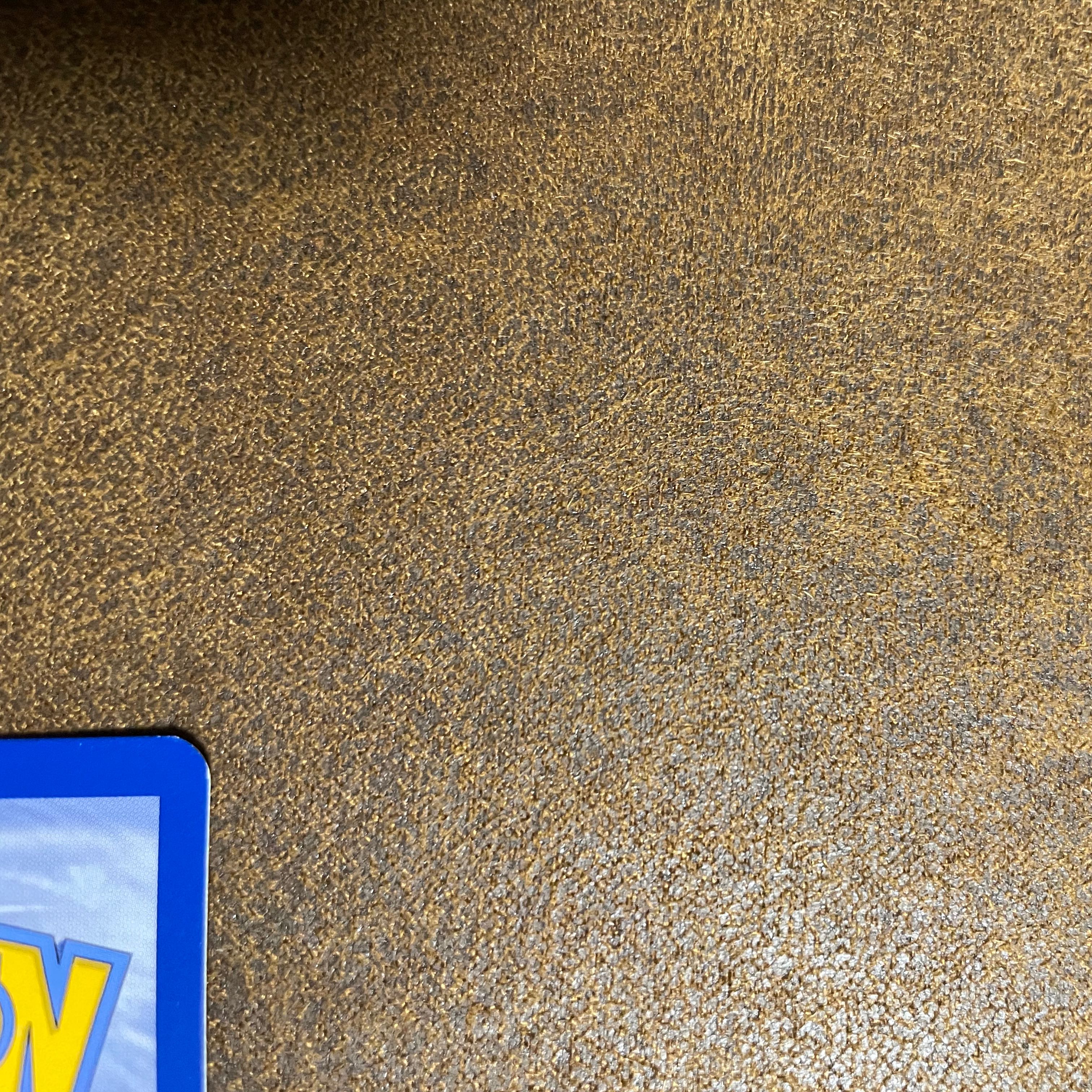 ブラッキー、エーフィgx 海外カードチャンピオンズ ・リーグ2018