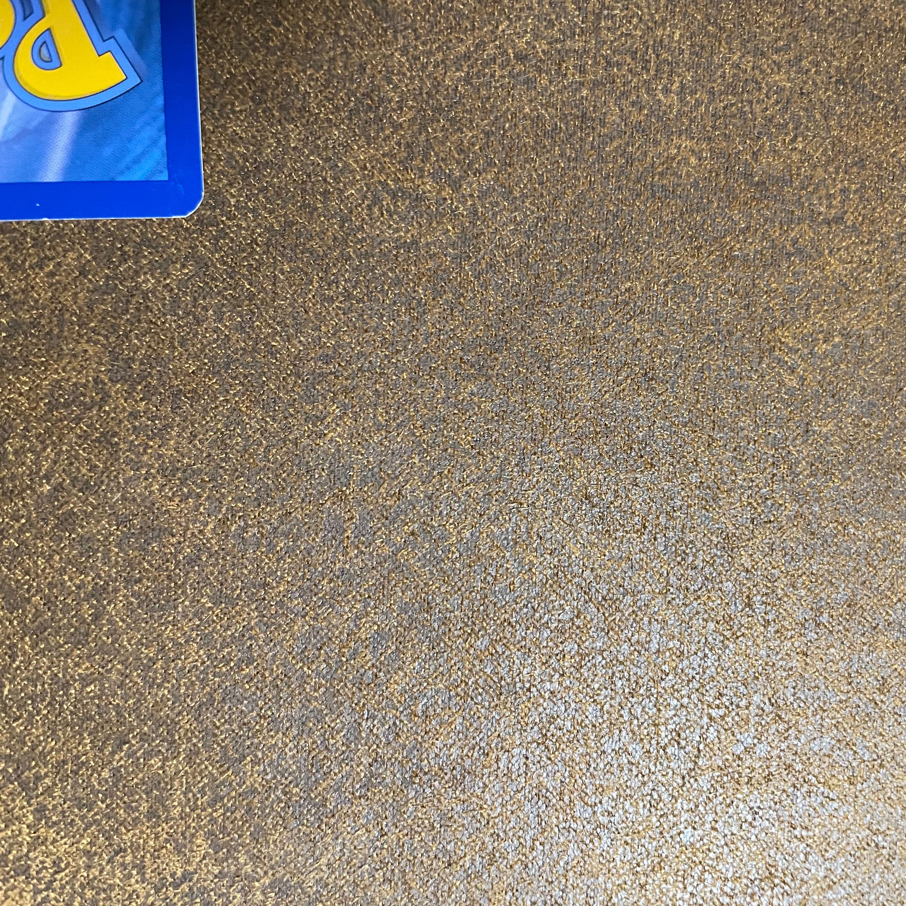 ブラッキー、エーフィgx 海外カードチャンピオンズ ・リーグ2018