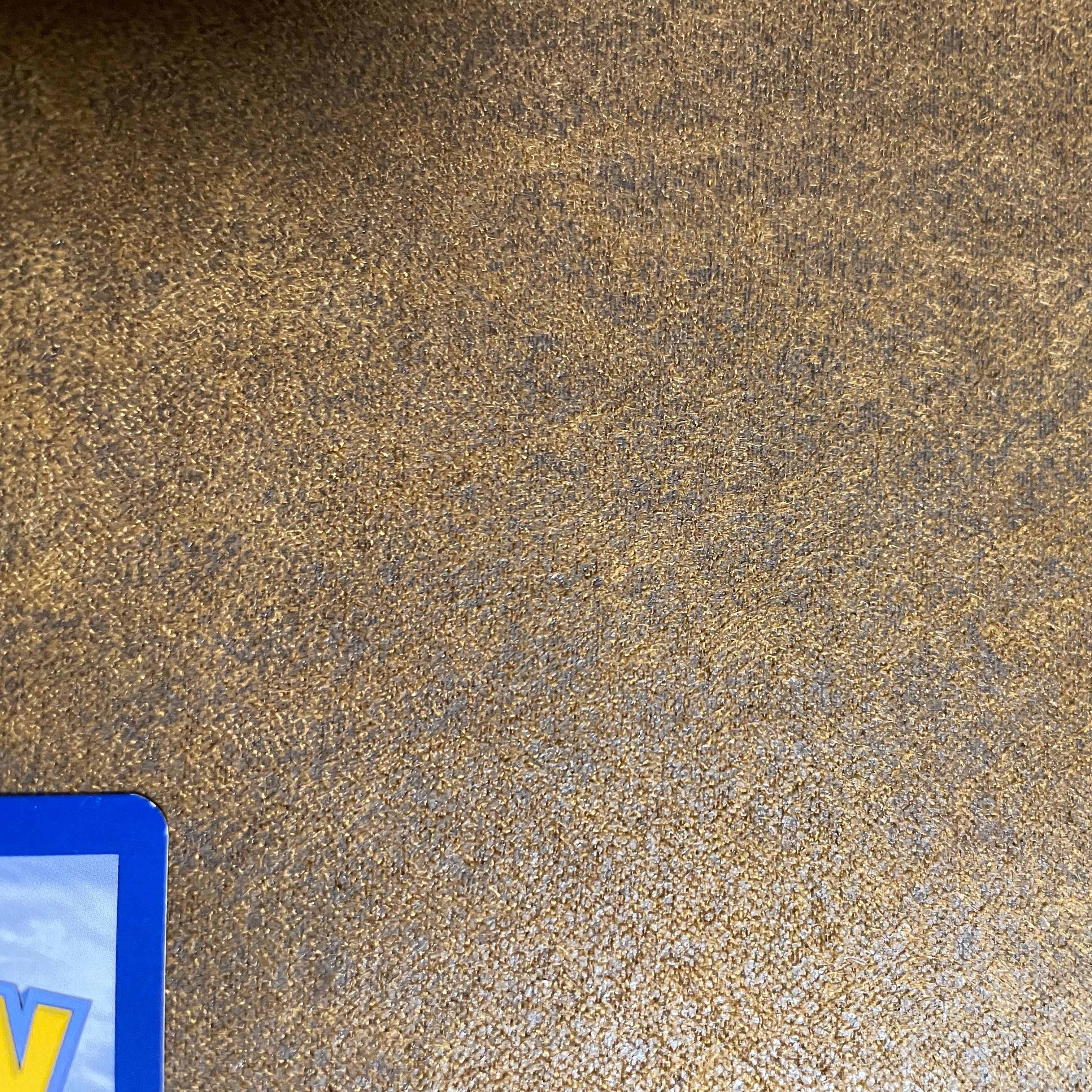 ブラッキー、エーフィgx 海外カードチャンピオンズ ・リーグ2018