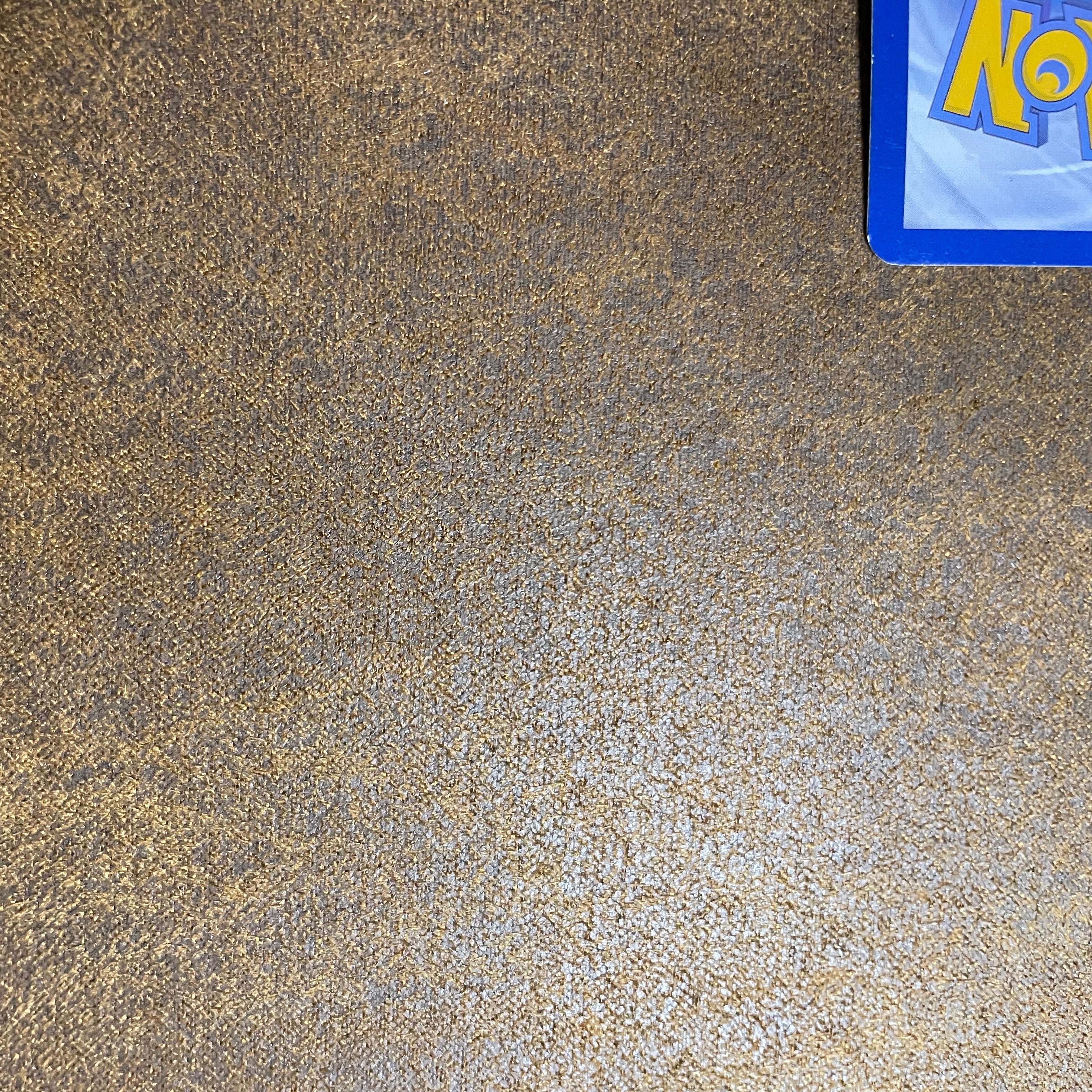 ブラッキー、エーフィgx 海外カードチャンピオンズ ・リーグ2018