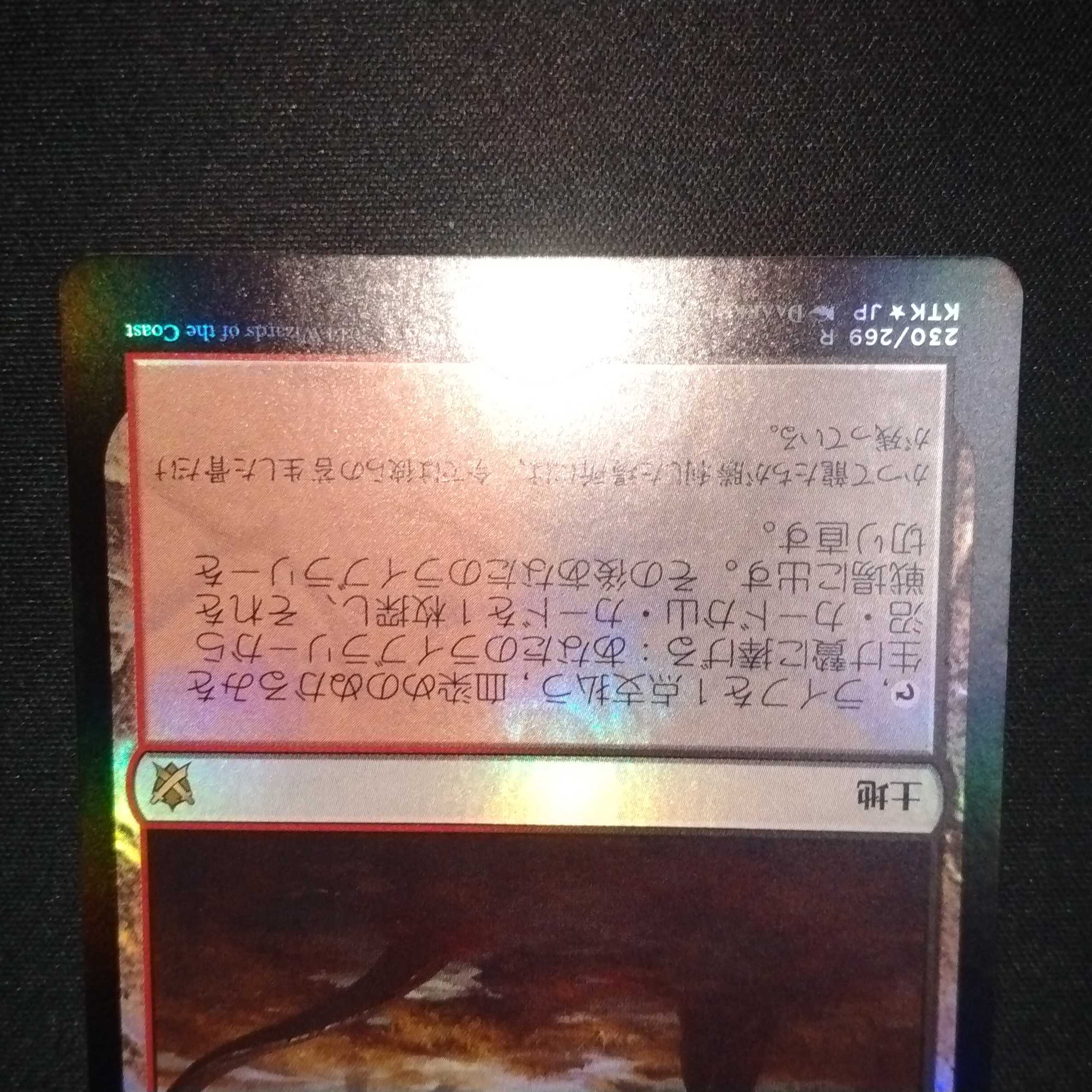 血染めのぬかるみfoil