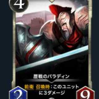 歴戦のパラディン