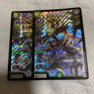 ブラキオ龍樹　2枚