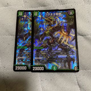 ブラキオ龍樹　2枚